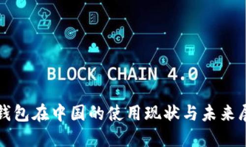 TP钱包在中国的使用现状与未来展望