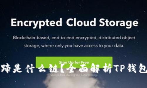 TP钱包马蹄是什么链？全面解析TP钱包及其功能