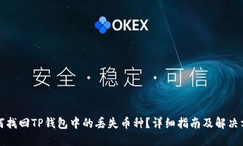 如何找回TP钱包中的丢失币种？详细指南及解决方案