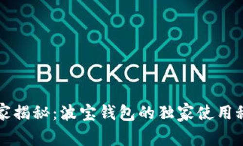 专家揭秘：波宝钱包的独家使用秘诀