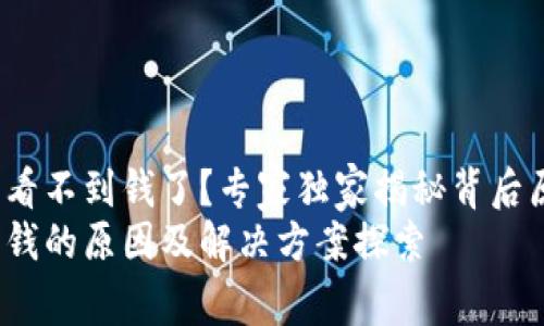 t p钱包为什么看不到钱了？专家独家揭秘背后原因与解决方案
t p钱包看不到钱的原因及解决方案探索