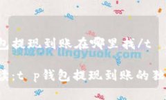 tt p钱包提现到账在哪里找