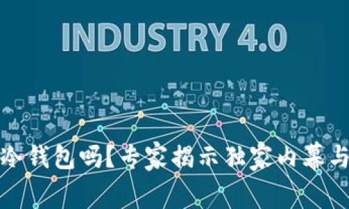 TP钱包是冷钱包吗？专家揭示独家内幕与安全秘诀