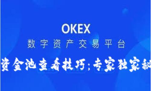 TP钱包资金池查看技巧：专家独家秘诀分享