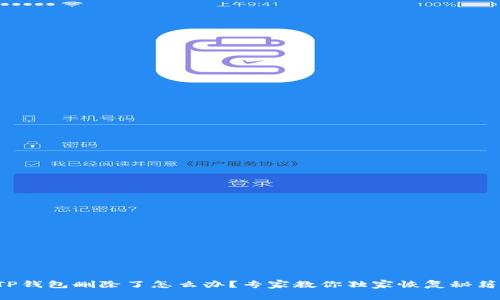 TP钱包删除了怎么办？专家教你独家恢复秘籍！