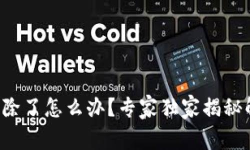 TP钱包删除了怎么办？专家独家揭秘解决秘诀！