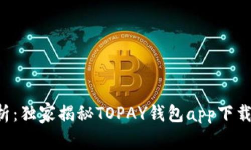 专家解析：独家揭秘TOPAY钱包app下载的秘诀！