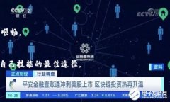 t如何下载TP钱包电脑版？