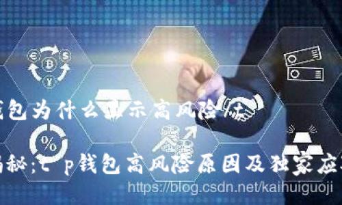 tt p钱包为什么显示高风险/t

专家揭秘：t p钱包高风险原因及独家应对秘诀