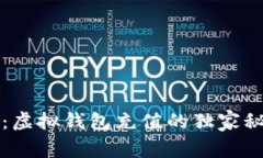 专家揭秘：虚拟钱包充值