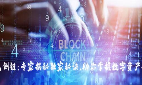 TP卡钱包侧链：专家揭秘独家秘诀，助你掌握数字资产安全管理