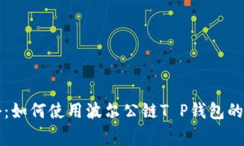 专家揭秘：如何使用波尔公链T P钱包的独家秘诀
