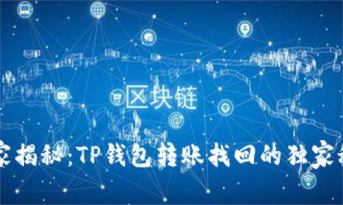 专家揭秘：TP钱包转账找回的独家秘诀
