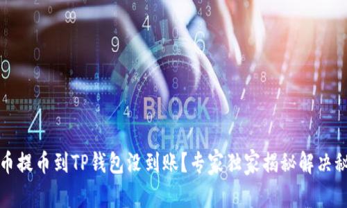 火币提币到TP钱包没到账？专家独家揭秘解决秘诀