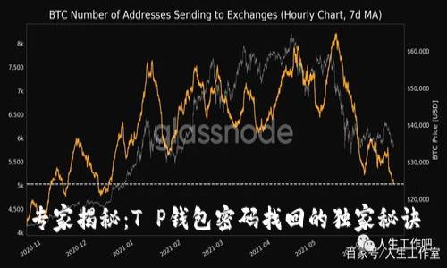 专家揭秘：T P钱包密码找回的独家秘诀