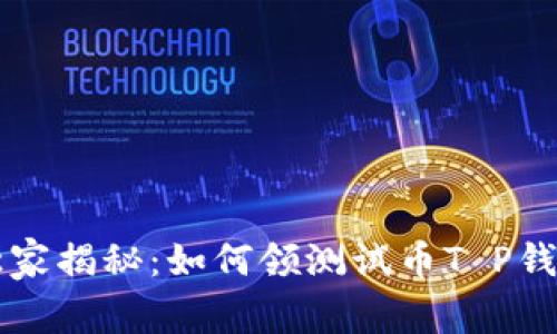 中本聪独家揭秘：如何领测试币T P钱包的秘诀