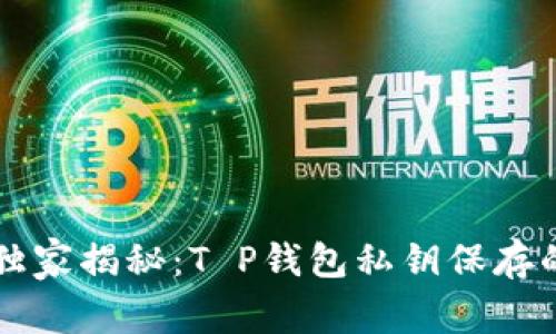 专家独家揭秘：T P钱包私钥保存的秘诀