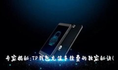 专家揭秘：TP钱包充值手续