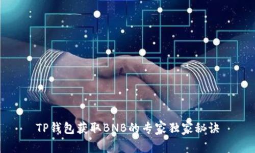 TP钱包获取BNB的专家独家秘诀