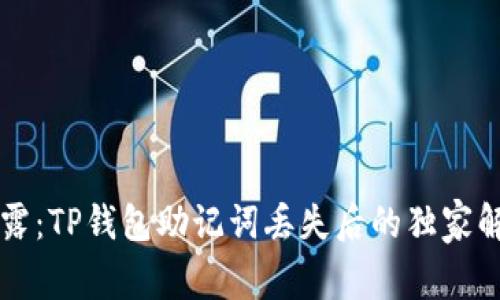 专家揭露：TP钱包助记词丢失后的独家解决秘诀