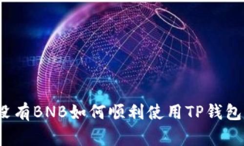 专家揭示：没有BNB如何顺利使用TP钱包的独家秘诀