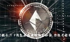 专家揭示：T P钱包头盔币
