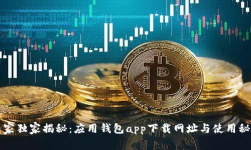 专家独家揭秘：应用钱包app下载网址与使用秘诀