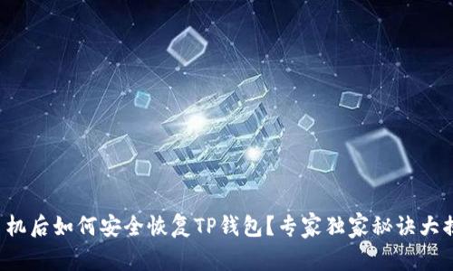 换手机后如何安全恢复TP钱包？专家独家秘诀大揭秘！