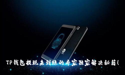 TP钱包提现未到账的专家独家解决秘籍！