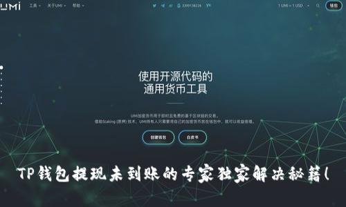 TP钱包提现未到账的专家独家解决秘籍！