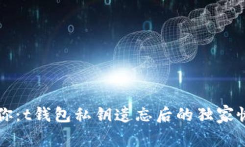 专家教你：t钱包私钥遗忘后的独家恢复秘诀