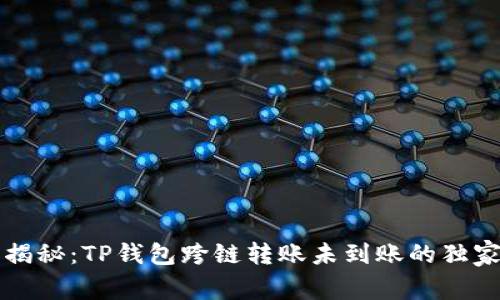专家揭秘：TP钱包跨链转账未到账的独家秘诀
