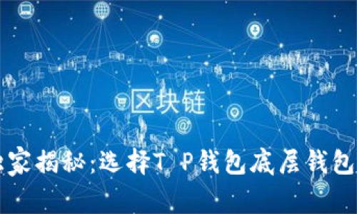专家独家揭秘：选择T P钱包底层钱包的秘诀