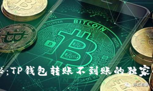 专家揭秘：TP钱包转账不到账的独家解决秘诀