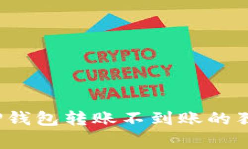 专家揭秘：TP钱包转账不到账的独家解决秘诀