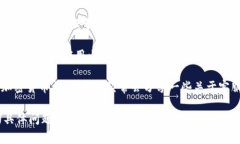要找到TP钱包的客服，通常