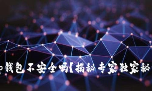 t p钱包不安全吗？揭秘专家独家秘诀！