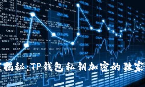 专家揭秘：TP钱包私钥加密的独家秘诀