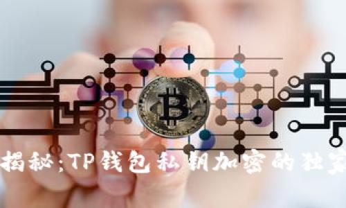 专家揭秘：TP钱包私钥加密的独家秘诀