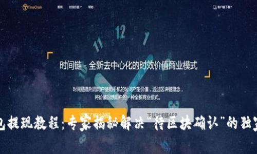 TP钱包提现教程：专家揭秘解决“待区块确认”的独家秘诀