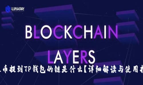 FIL币提到TP钱包的链是什么？详细解读与使用指南