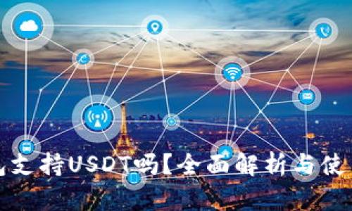 tp钱包支持USDT吗？全面解析与使用指南