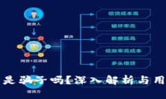 TP钱包究竟是骗子吗？深入
