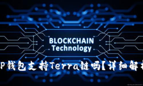 TP钱包支持Terra链吗？详细解析