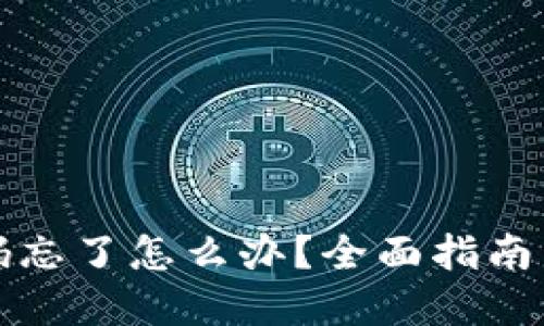 TP钱包密码忘了怎么办？全面指南与解决方案