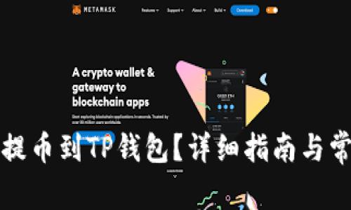 如何将货币提币到TP钱包？详细指南与常见问题解答