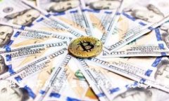 TP钱包如何设置购买的币种