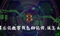 如果忘记数字钱包助记词