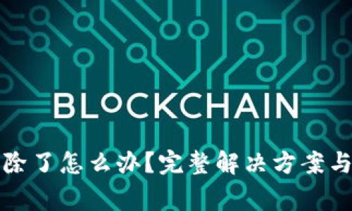 TP身份钱包删除了怎么办？完整解决方案与常见问题解析