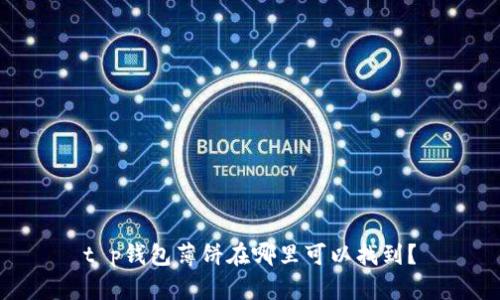 t p钱包薄饼在哪里可以找到？